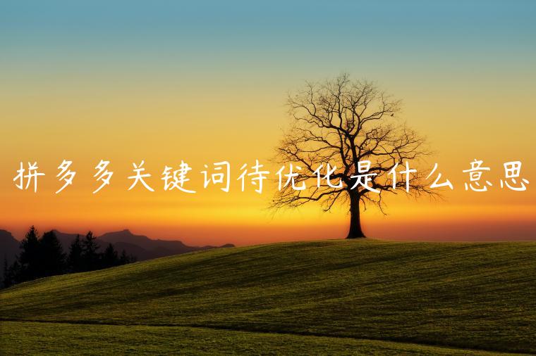 拼多多關(guān)鍵詞待優(yōu)化是什么意思